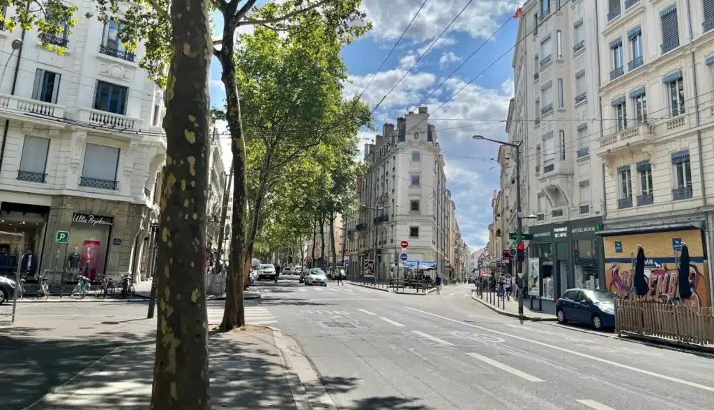 rues et avenues de Lyon 7
